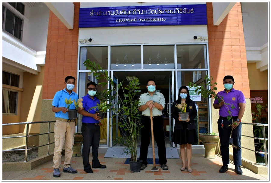 ﻿สํานักงานบังคับคดีจังหวัดประจวบคีรีขันธ์ ร่วมกิจกรรมวันต้นไม้ประจำปีของชาติ พ.ศ. 2564